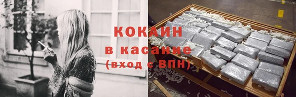 гидра Новозыбков