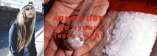 эйфоретик Новокубанск