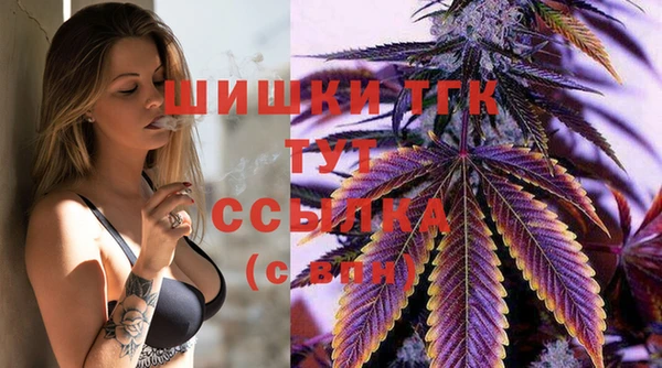 эйфоретик Новокубанск