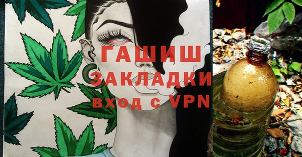 гидра Новозыбков