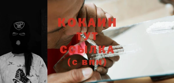 гидра Новозыбков
