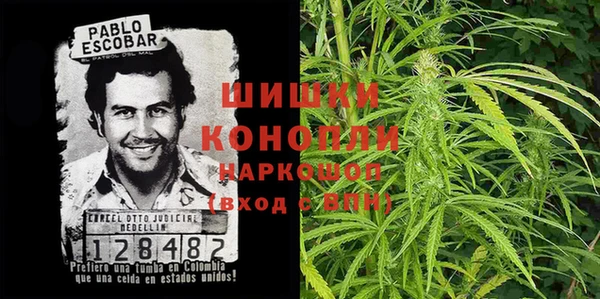 гидра Новозыбков
