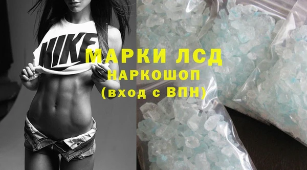 гидра Новозыбков