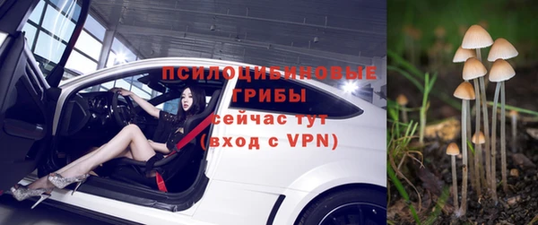 гидра Новозыбков